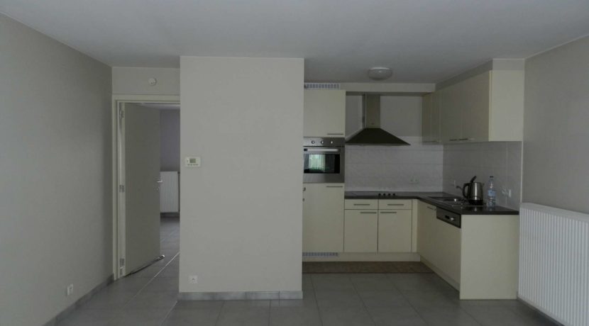 DSCN2979-P50